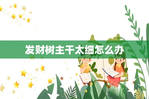 发财树主干太细怎么办