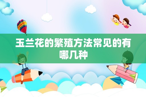 玉兰花的繁殖方法常见的有哪几种