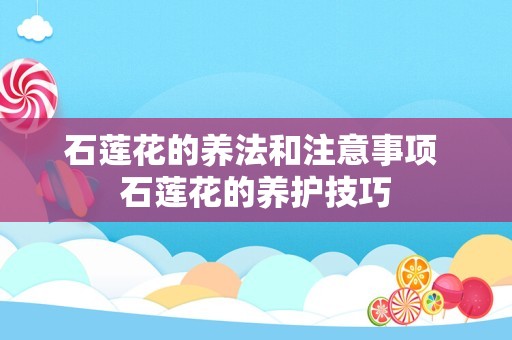 石莲花的养法和注意事项 石莲花的养护技巧