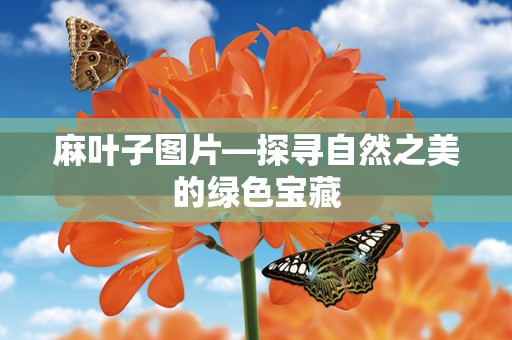 麻叶子图片—探寻自然之美的绿色宝藏