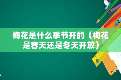 梅花是什么季节开的（梅花是春天还是冬天开放）