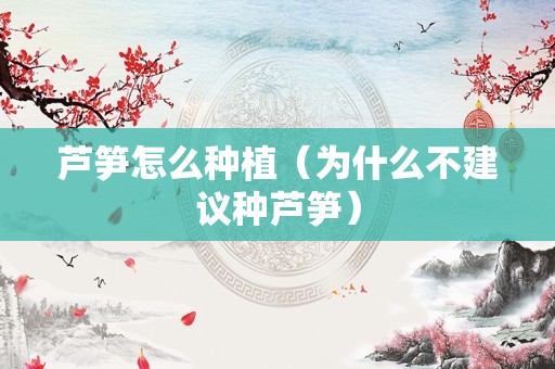 芦笋怎么种植（为什么不建议种芦笋）