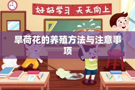旱荷花的养殖方法与注意事项