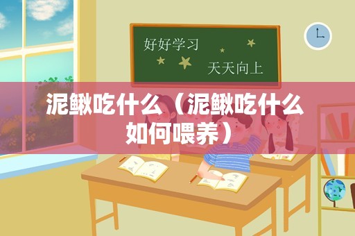 泥鳅吃什么（泥鳅吃什么 如何喂养）