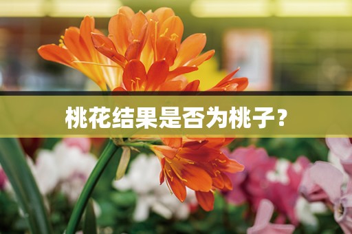 桃花结果是否为桃子？