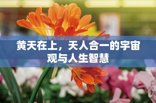 黄天在上，天人合一的宇宙观与人生智慧