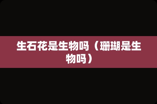 生石花是生物吗（珊瑚是生物吗）