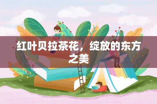红叶贝拉茶花，绽放的东方之美