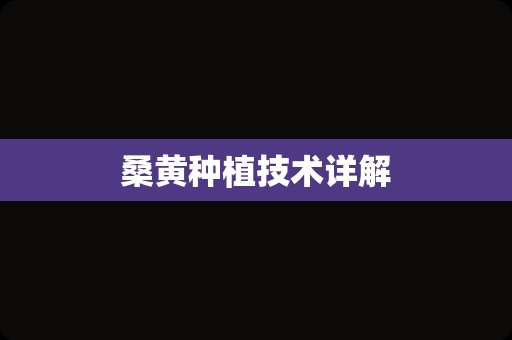 桑黄种植技术详解