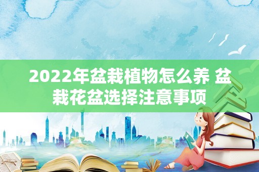 2022年盆栽植物怎么养 盆栽花盆选择注意事项