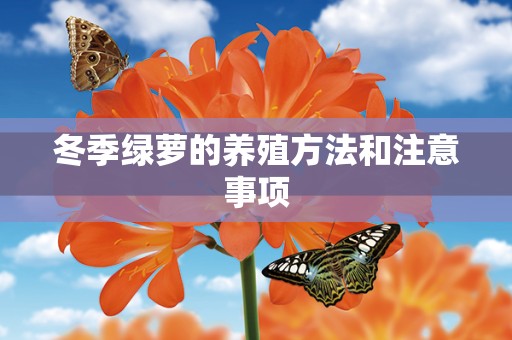 冬季绿萝的养殖方法和注意事项