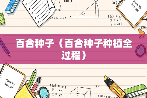 百合种子（百合种子种植全过程）