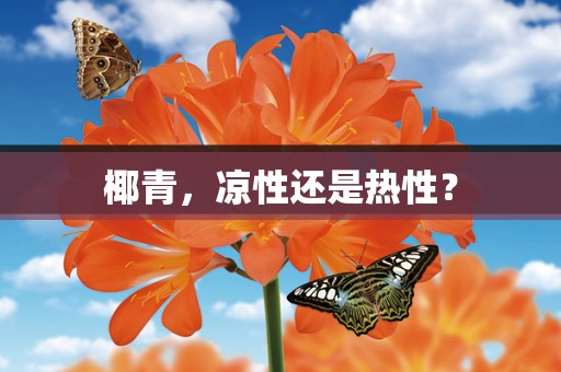 椰青，凉性还是热性？