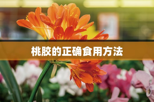 桃胶的正确食用方法