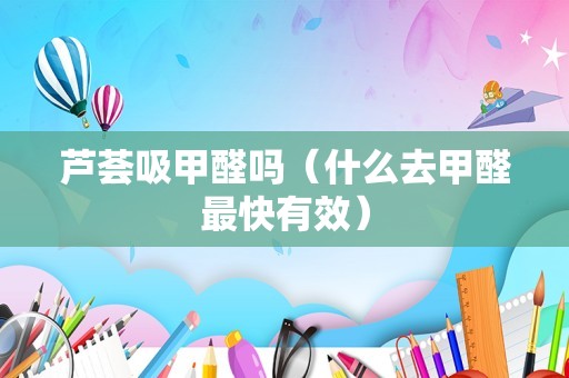 芦荟吸甲醛吗（什么去甲醛最快有效）