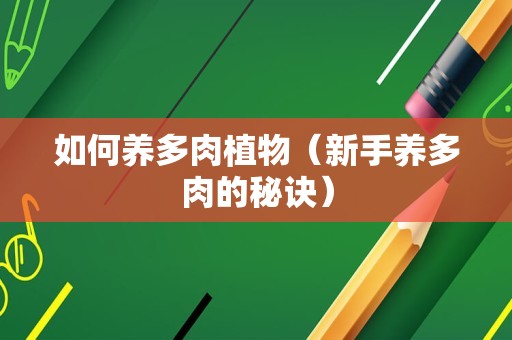 如何养多肉植物（新手养多肉的秘诀）