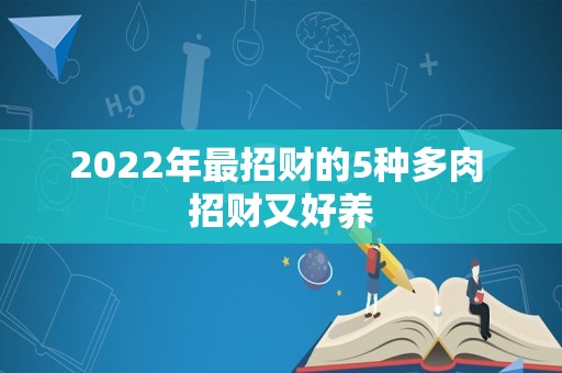 2022年最招财的5种多肉 招财又好养