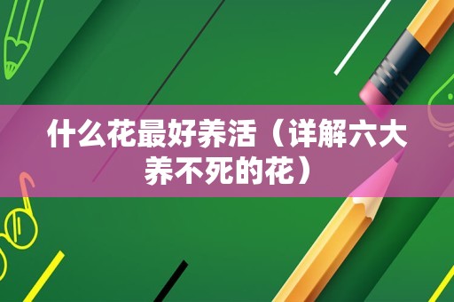 什么花最好养活（详解六大养不死的花）