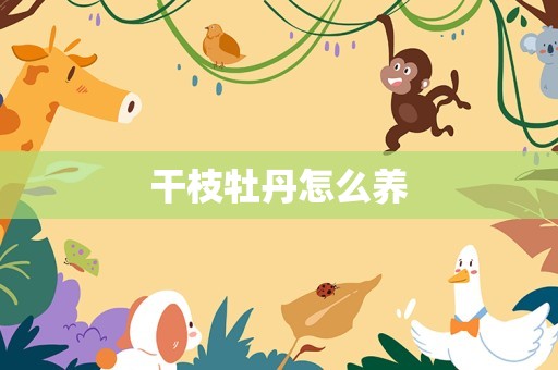 干枝牡丹怎么养