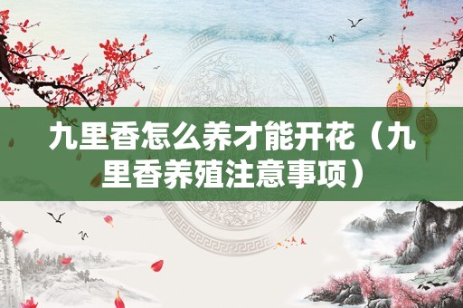 九里香怎么养才能开花（九里香养殖注意事项）