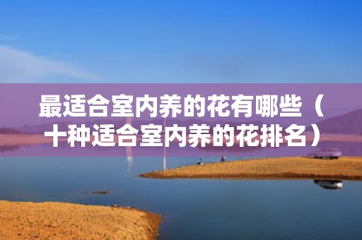 最适合室内养的花有哪些（十种适合室内养的花排名）