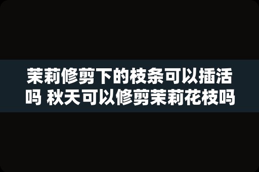 茉莉修剪下的枝条可以插活吗 秋天可以修剪茉莉花枝吗
