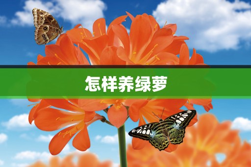 怎样养绿萝