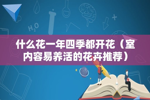 什么花一年四季都开花（室内容易养活的花卉推荐）