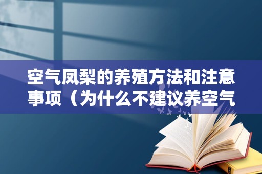 空气凤梨的养殖方法和注意事项（为什么不建议养空气凤梨）