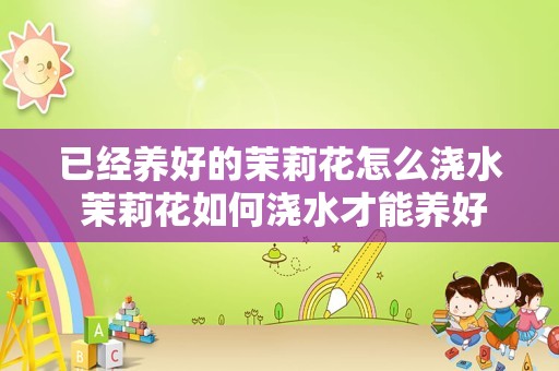 已经养好的茉莉花怎么浇水 茉莉花如何浇水才能养好