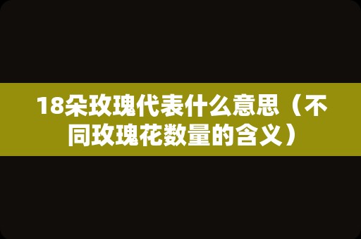 18朵玫瑰代表什么意思（不同玫瑰花数量的含义）
