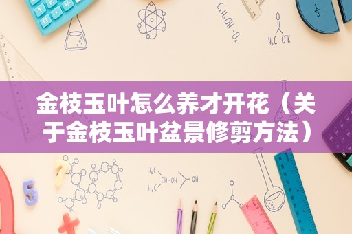 金枝玉叶怎么养才开花（关于金枝玉叶盆景修剪方法）