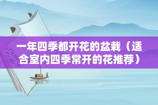 一年四季都开花的盆栽（适合室内四季常开的花推荐）