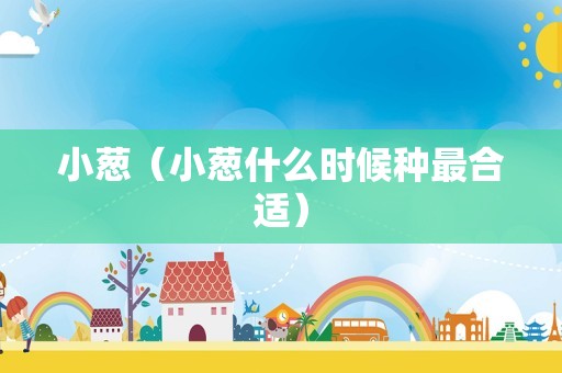 小葱（小葱什么时候种最合适）