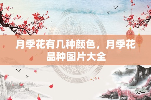 月季花有几种颜色，月季花品种图片大全