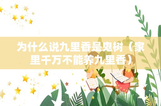 为什么说九里香是鬼树（家里千万不能养九里香）