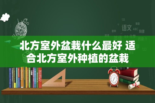 北方室外盆栽什么最好 适合北方室外种植的盆栽