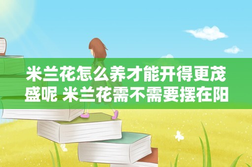 米兰花怎么养才能开得更茂盛呢 米兰花需不需要摆在阳光下暴晒
