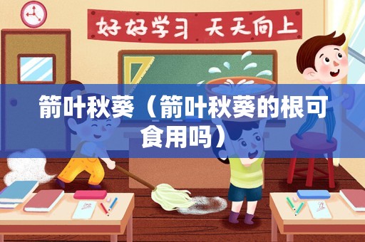 箭叶秋葵（箭叶秋葵的根可食用吗）