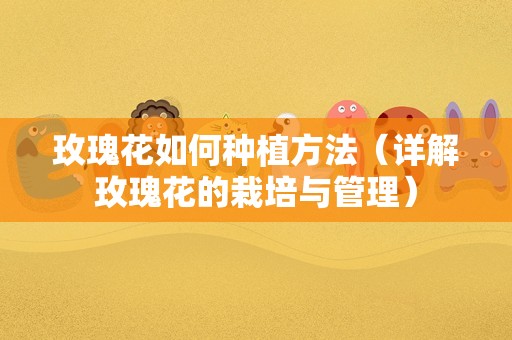 玫瑰花如何种植方法（详解玫瑰花的栽培与管理）