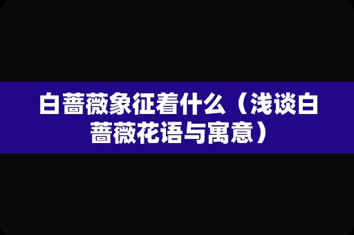 白蔷薇象征着什么（浅谈白蔷薇花语与寓意）