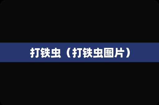 打铁虫（打铁虫图片）