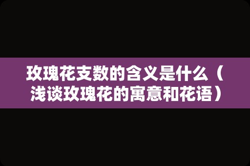 玫瑰花支数的含义是什么（浅谈玫瑰花的寓意和花语）