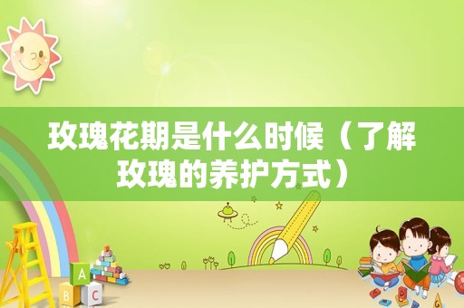 玫瑰花期是什么时候（了解玫瑰的养护方式）