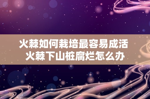 火棘如何栽培最容易成活 火棘下山桩腐烂怎么办