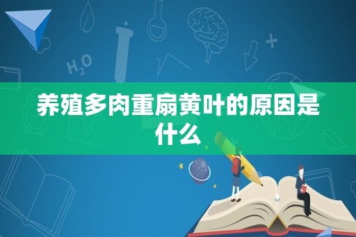 养殖多肉重扇黄叶的原因是什么