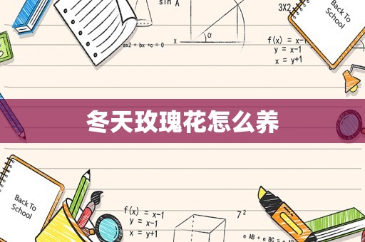 冬天玫瑰花怎么养
