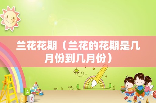 兰花花期（兰花的花期是几月份到几月份）