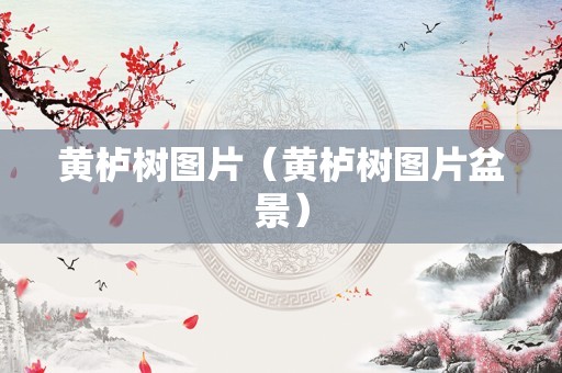 黄栌树图片（黄栌树图片盆景）