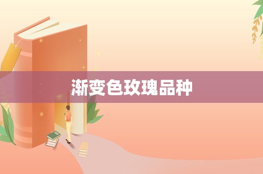 渐变色玫瑰品种